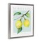 Stupell Industries Sorrento Lemon Branch Framed Floater Canvas Wall Art Design by Reinders